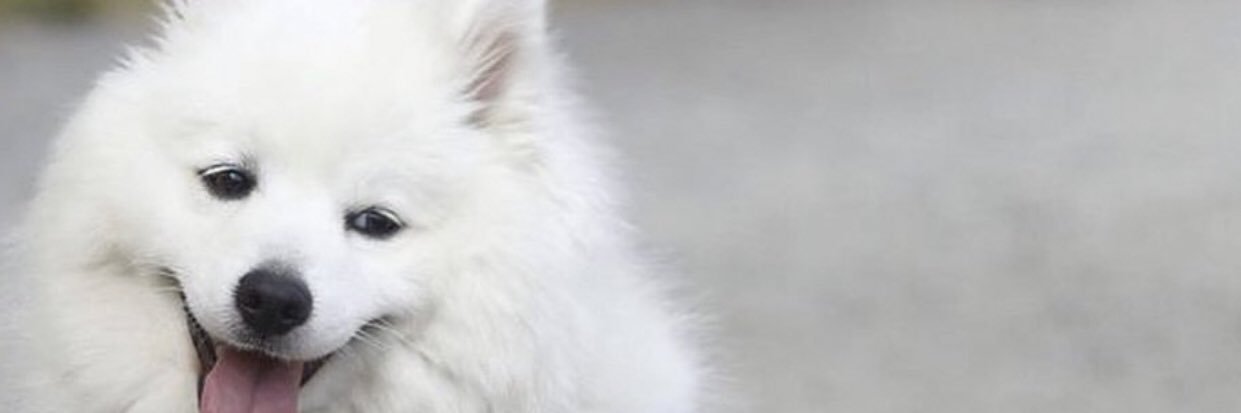 Imma banner