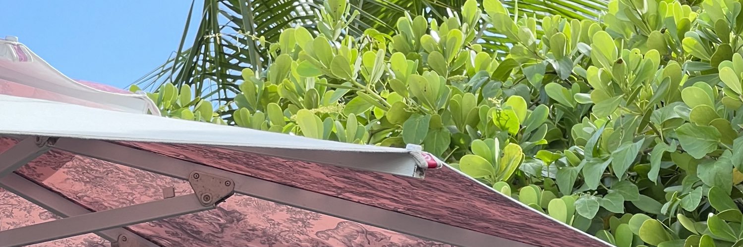 FatimaAskar's profile banner image