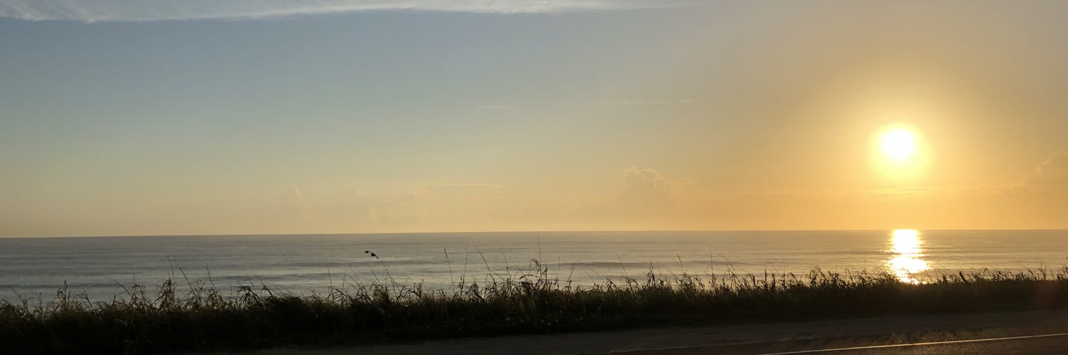 Luis Carrascosa banner
