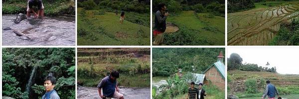 omNades Profile Banner