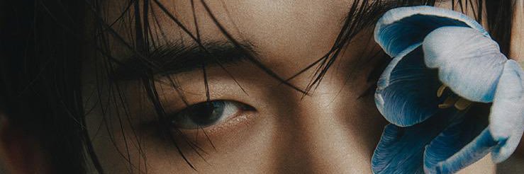 {ia} saw twice! banner