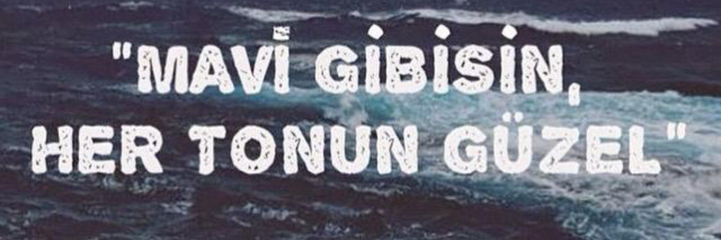 sgucmen's profile banner image