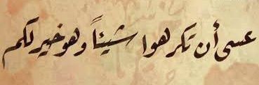 amany_58h's profile banner image