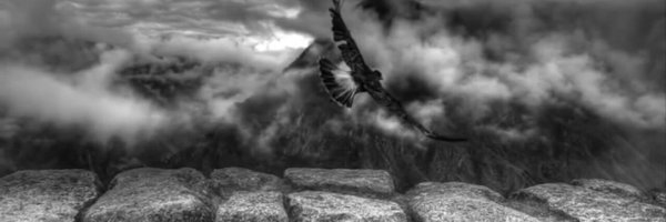 EndFlames Profile Banner