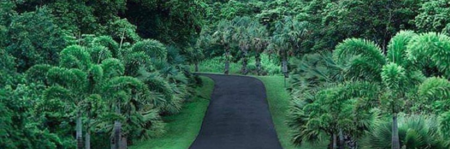 Neves💕🇨🇩 banner