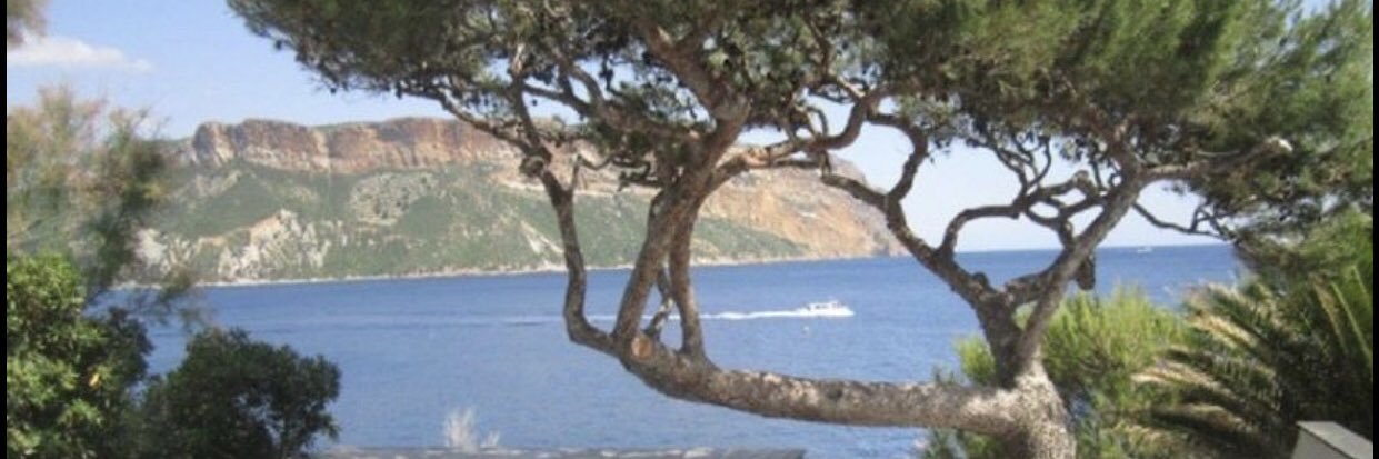elgerillo's profile banner image