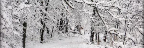 24PullRequests Profile Banner