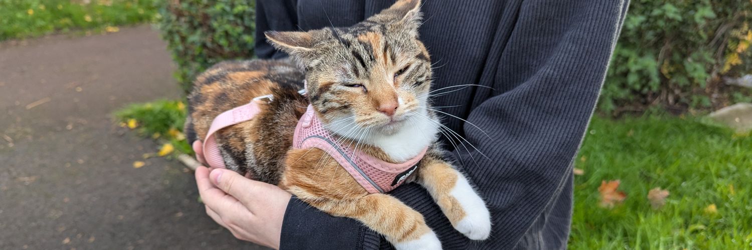 Simmsy (c0mms open) banner