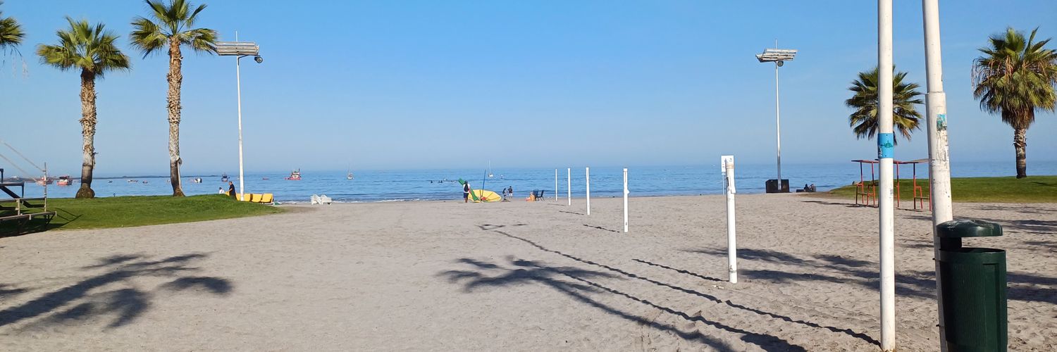 La Indomable 🇨🇱🦾💖 banner