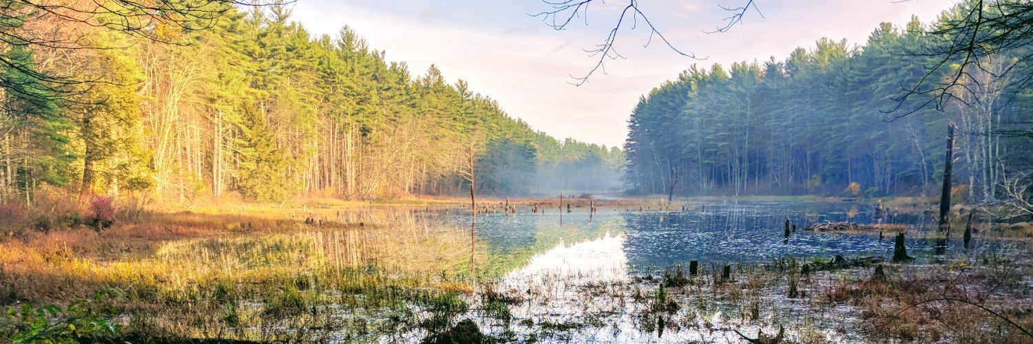 Swedebit's profile banner image