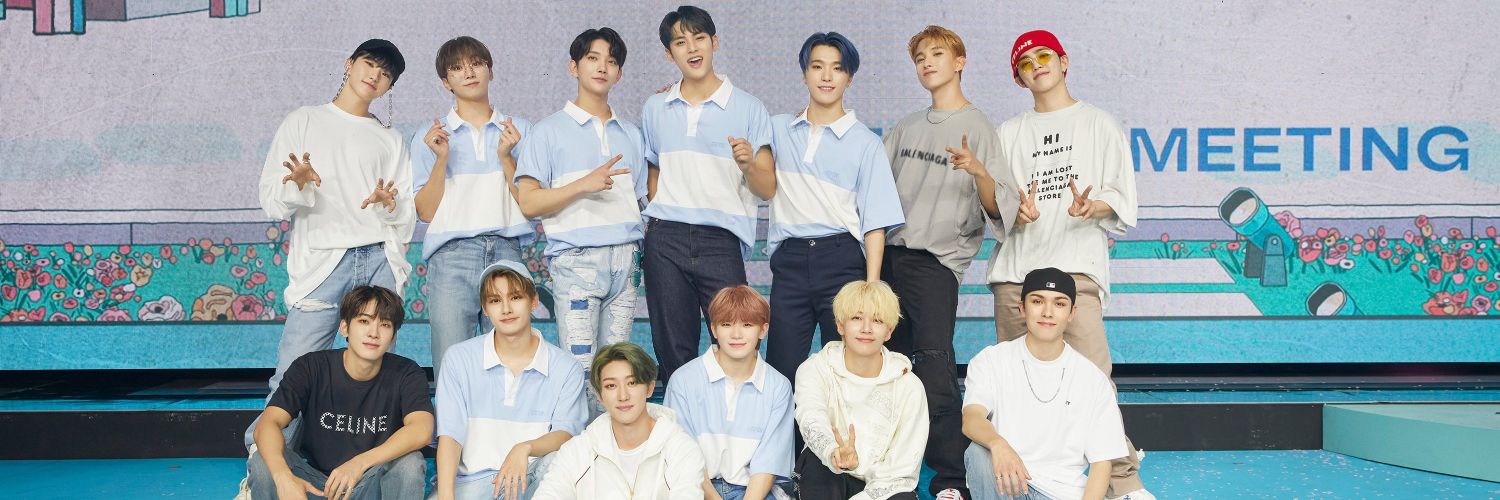 ˚*❀fel❀❜𖧷 banner