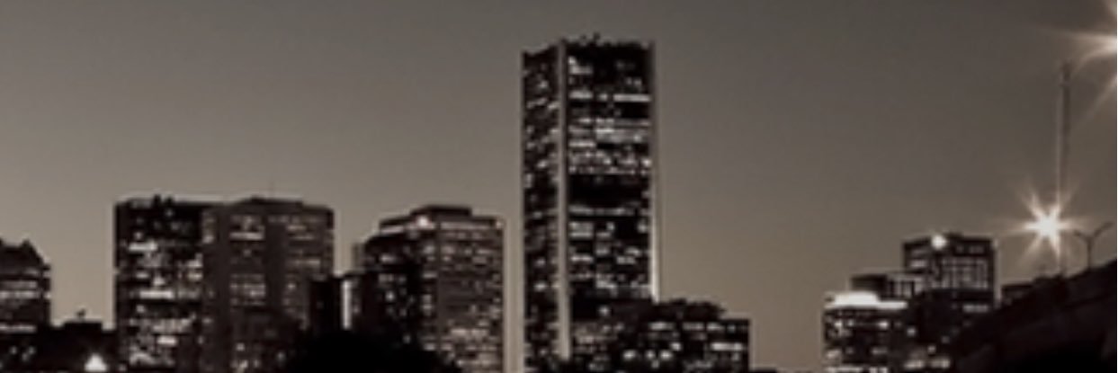 Shebrador's profile banner image