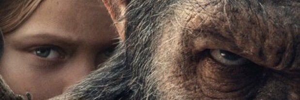 berxudan's profile banner image
