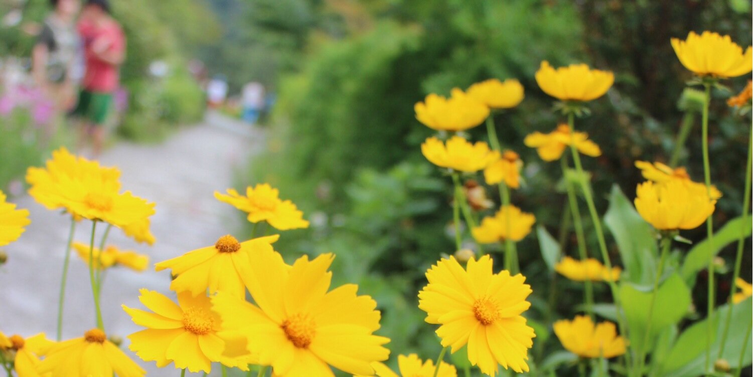 arlkong's profile banner image