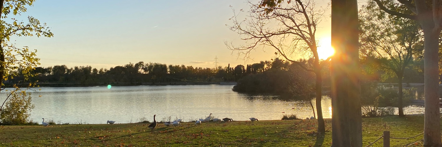 AndreusAlvaro's profile banner image