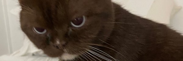 SAMPERNANDO Profile Banner