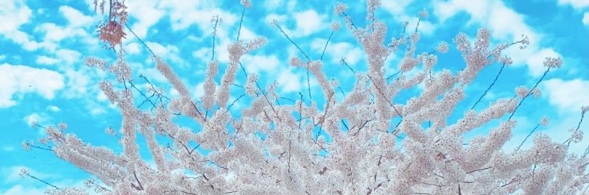 ialamxo's profile banner image