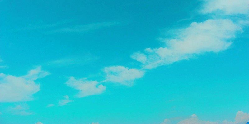 気の毒坊やハル banner