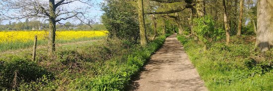 Hertfordshire Walker banner