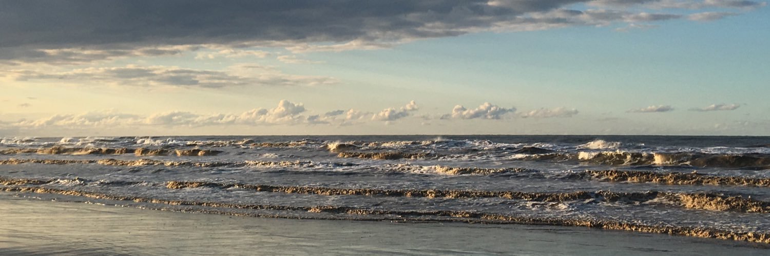 Pspure_'s profile banner image