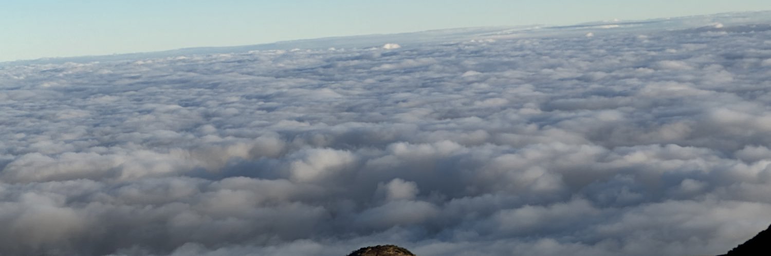 marmolski's profile banner image