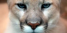 Jorramang's profile banner image
