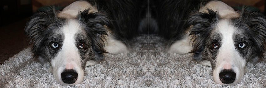 Oklyn23's profile banner image