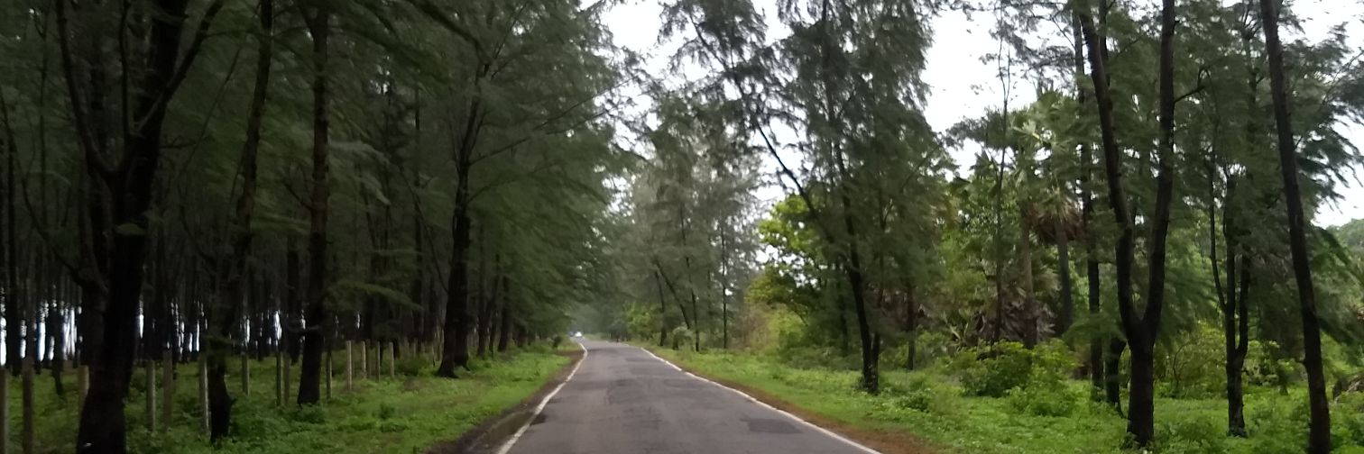 PatilShubhamMT's profile banner image