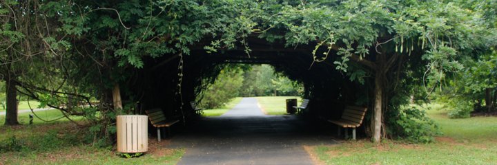 Rowan County NC banner