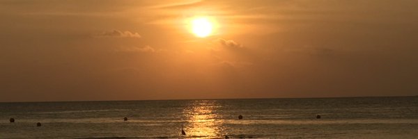 PaulaCarroll770 Profile Banner