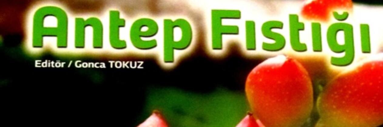 GTokuz's profile banner image