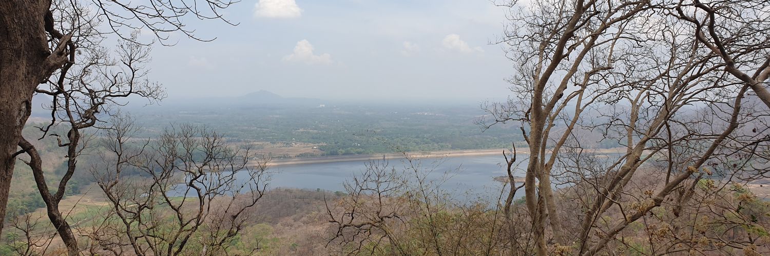 Preethy Prasanth banner