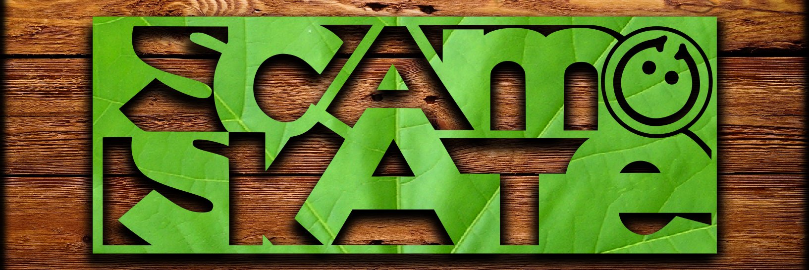 Scam Skate Ltd. banner