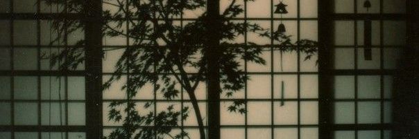 OFDUSKANDNIGHT's profile banner image