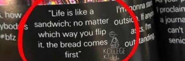 big flo🖤 banner