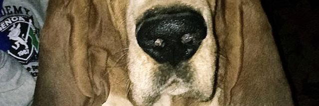 ArceMicaela2's profile banner image