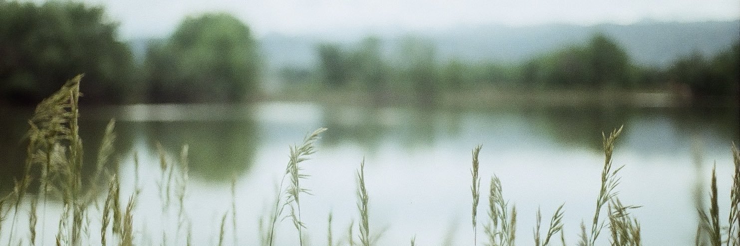 TwinPeaksLiberty banner