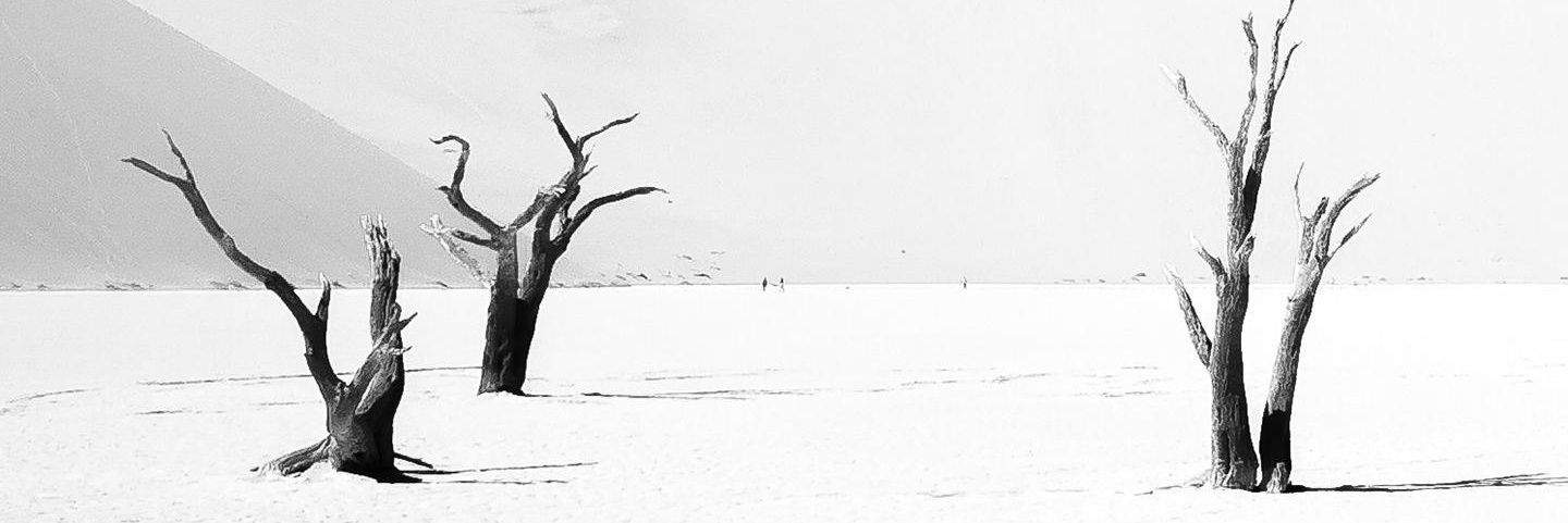 SetterDylan's profile banner image