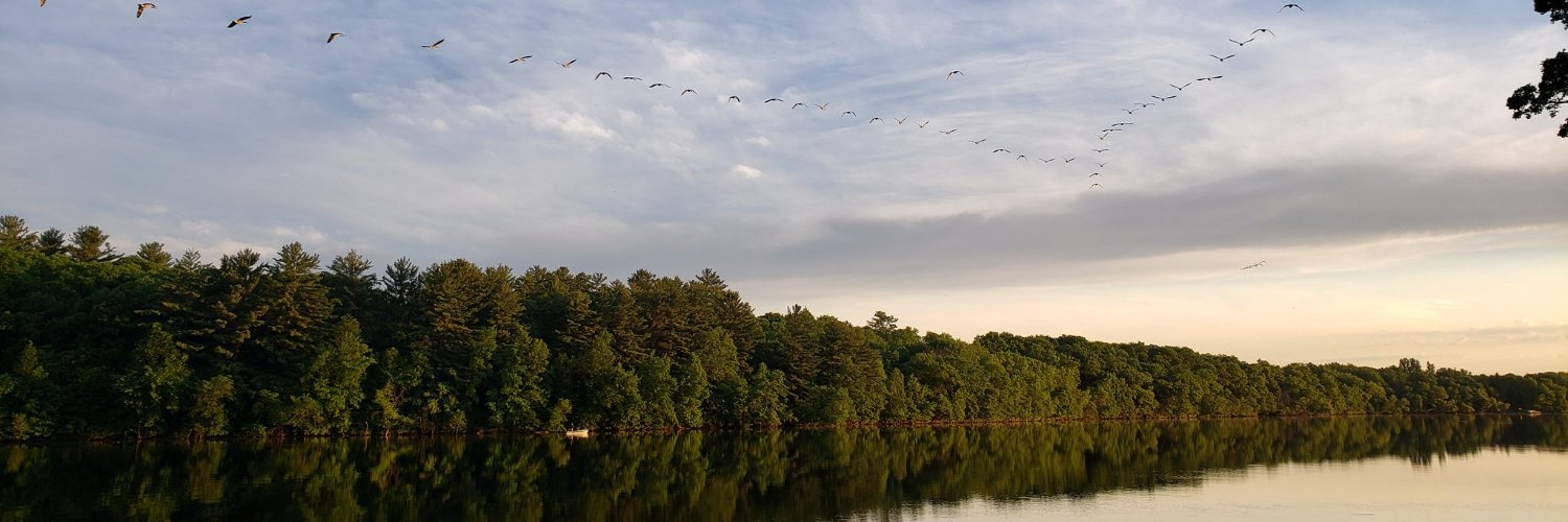 Miranda Darrow banner