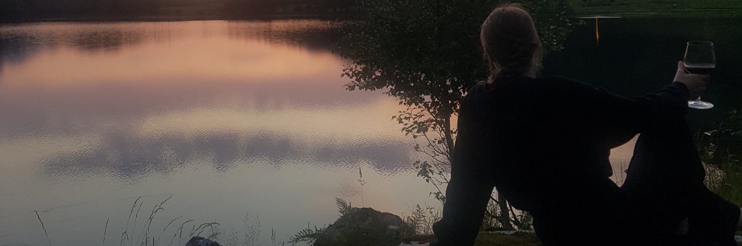 RVassbotn's profile banner image