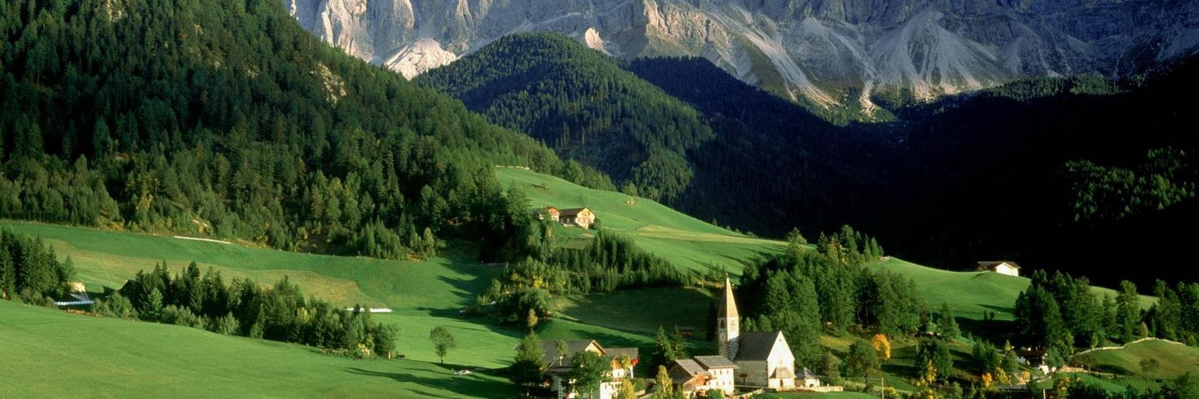 Mahavir mehta banner