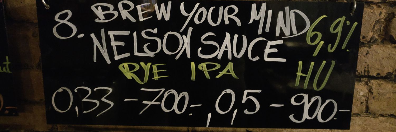 Patrick van Aerle banner