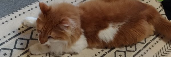 sayakatake Profile Banner