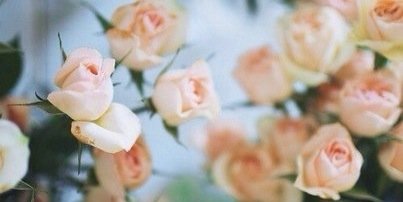 frolisss's profile banner image