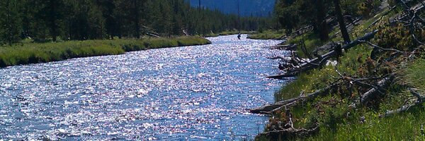 JohnMillerCLT Profile Banner