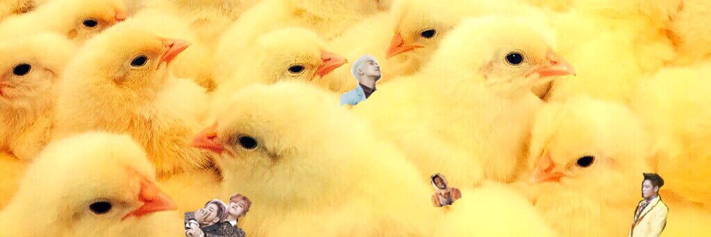 ゆう🦜 banner