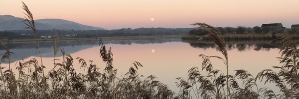 keithjbruce Profile Banner