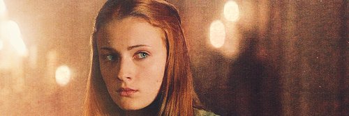 winterdove__'s profile banner image