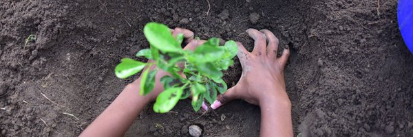 TKurotwi Profile Banner