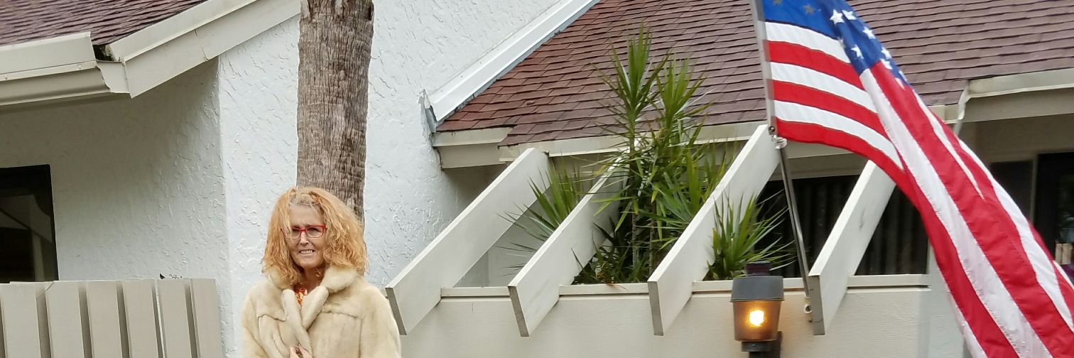 hgpervis's profile banner image